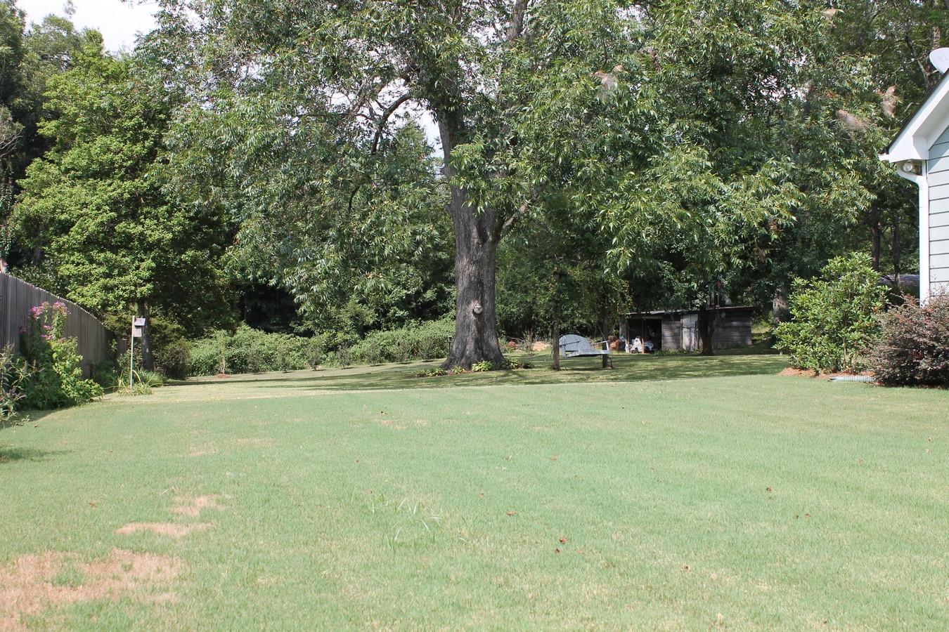 160 E Main, Rutledge, GA 30663 photo 4