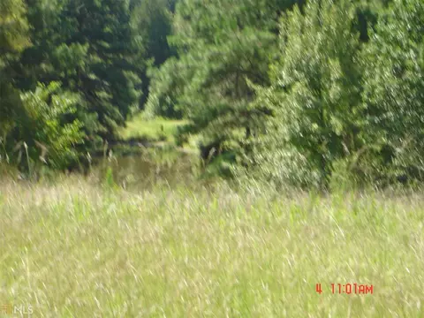 2369 County Rd 260, Five Points, AL 36855 photo 5
