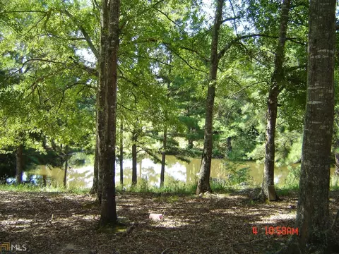 2369 County Rd 260, Five Points, AL 36855 photo 2