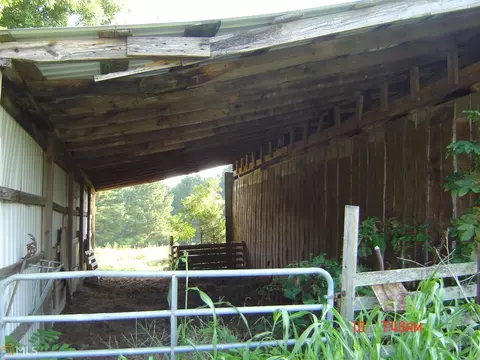 2369 County Rd 260, Five Points, AL 36855 photo 16