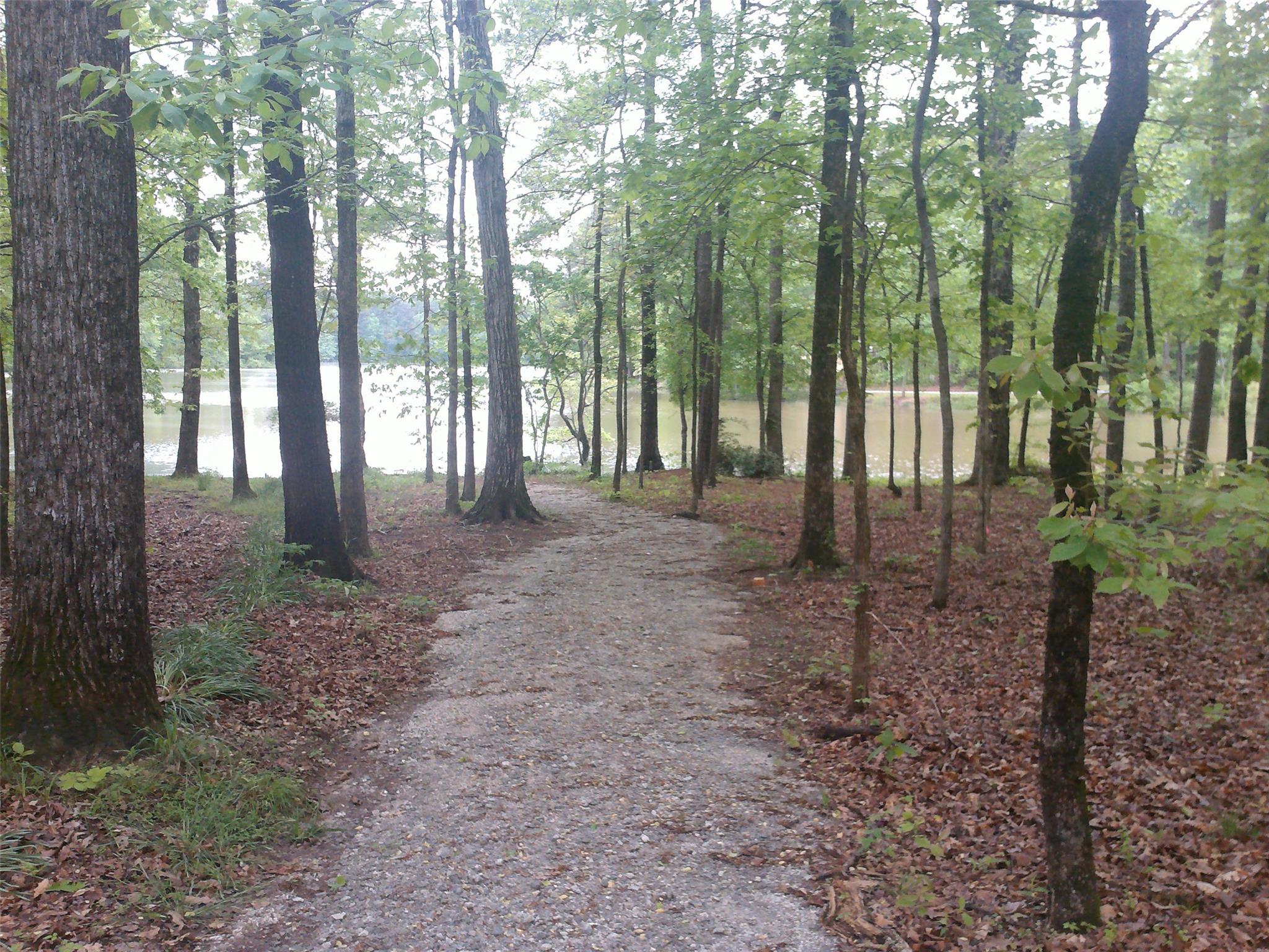 50 Stream Glen Ct, Covington, GA 30016 photo 13