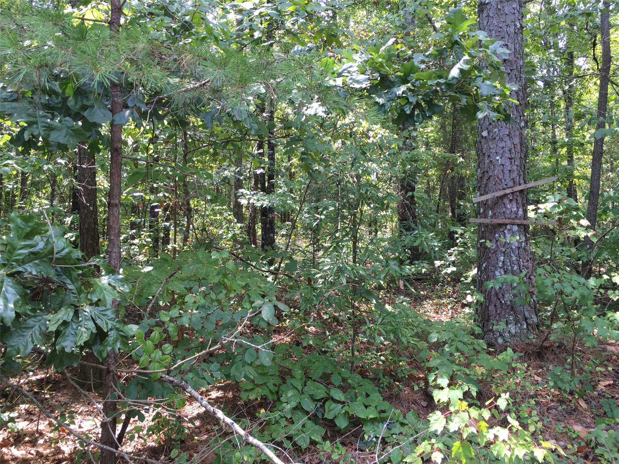 2546 E Hermitage, Kingston, GA 30145 photo 4