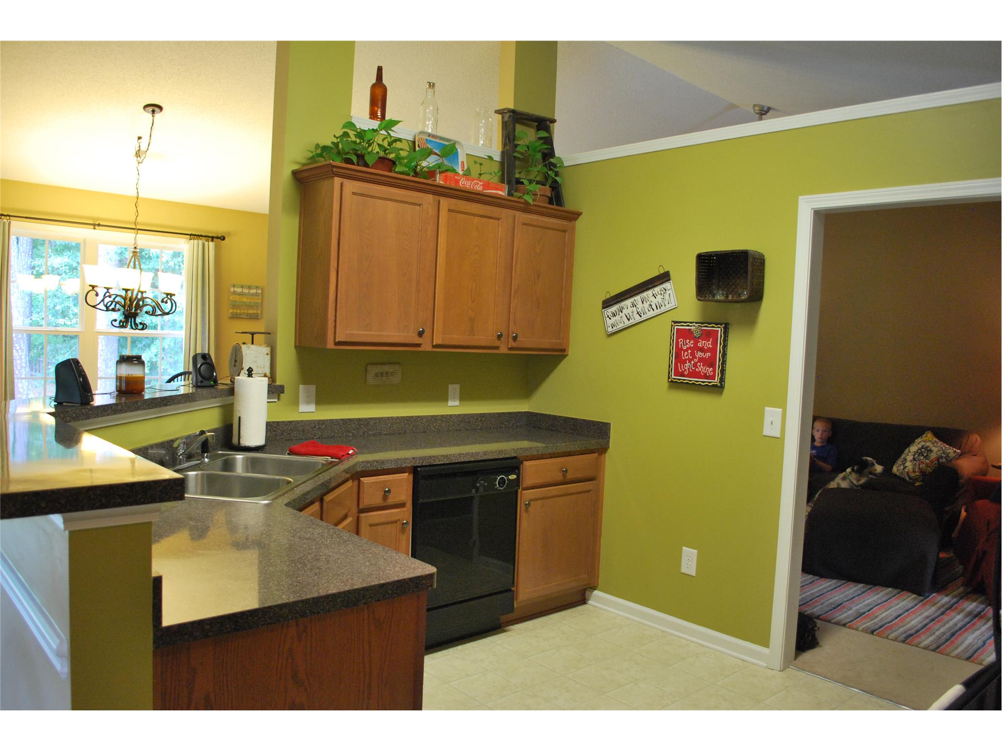 1203 Benton Ct, Bethlehem, GA 30620 photo 15