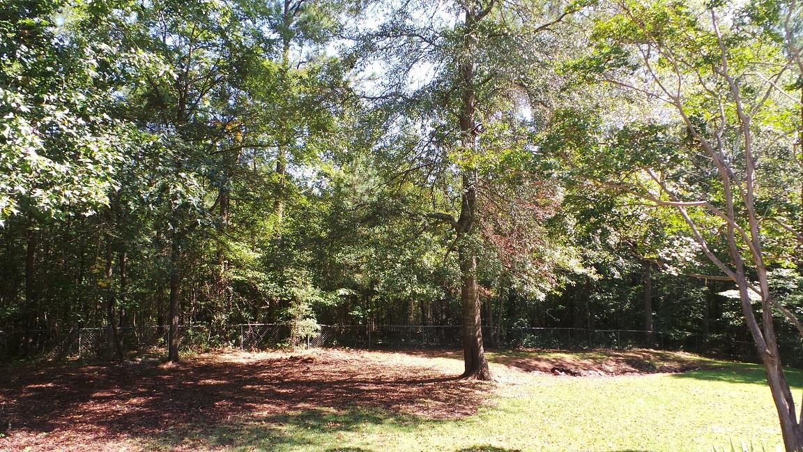 132 Hazel Way, Lagrange, GA 30240 photo 23