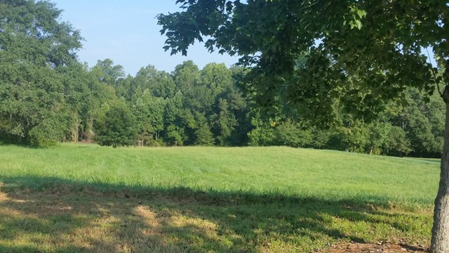 452 Fox Valley Dr, Monroe, GA 30656 photo 3