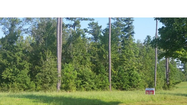 452 Fox Valley Dr, Monroe, GA 30656 photo 5