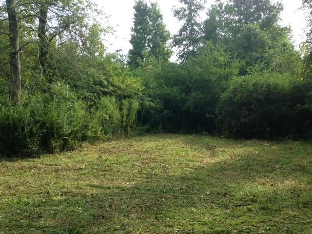 601 Friendly Mission Ln, Cornelia, GA 30531 photo 5
