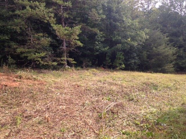 601 Friendly Mission Ln, Cornelia, GA 30531 photo 9