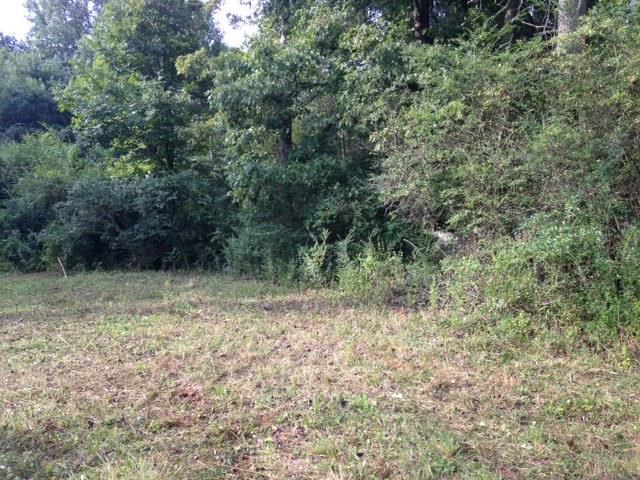 601 Friendly Mission Ln, Cornelia, GA 30531 photo 10