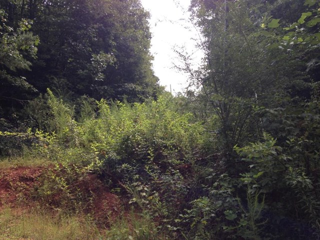 601 Friendly Mission Ln, Cornelia, GA 30531 photo 2