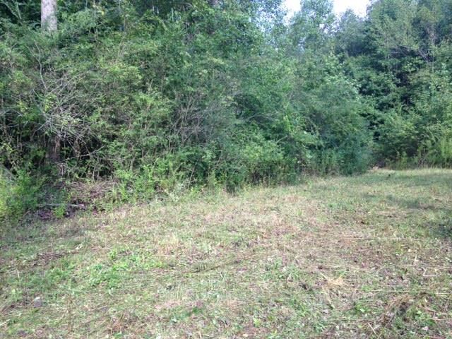 601 Friendly Mission Ln, Cornelia, GA 30531 photo 11