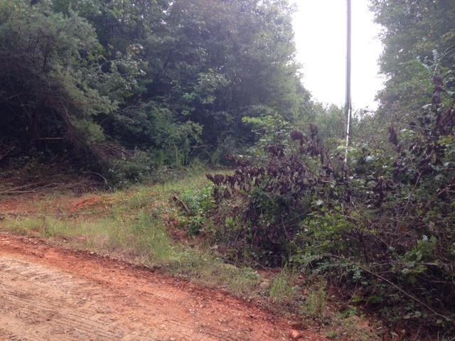 601 Friendly Mission Ln, Cornelia, GA 30531 photo 6