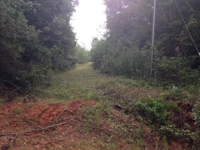 601 Friendly Mission Ln, Cornelia, GA 30531 photo 7