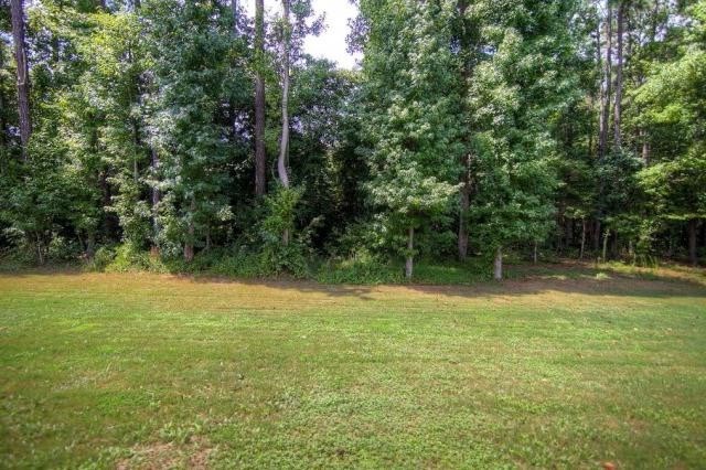 117 Mariahs Walk, Hampton, GA 30228 photo 25