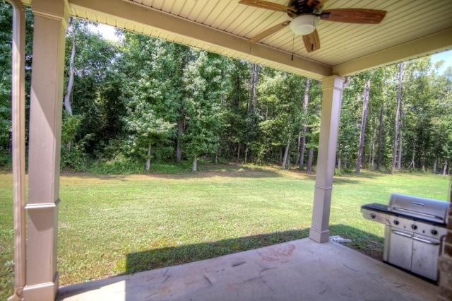 117 Mariahs Walk, Hampton, GA 30228 photo 24