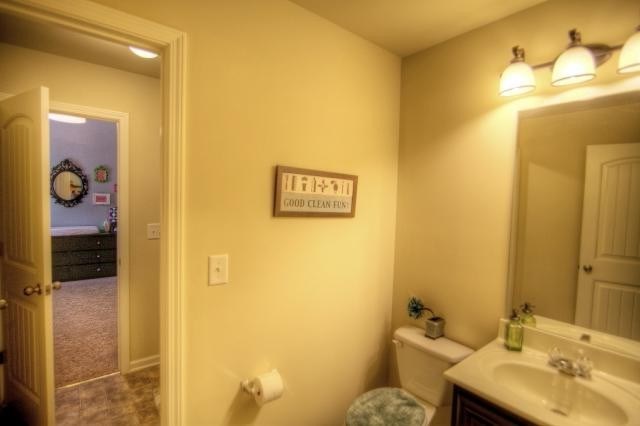 117 Mariahs Walk, Hampton, GA 30228 photo 18