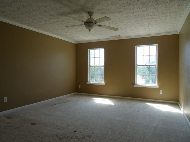 401 Ash Trace Ln, Grayson, GA 30017 photo 14