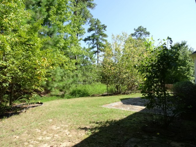 401 Ash Trace Ln, Grayson, GA 30017 photo 23