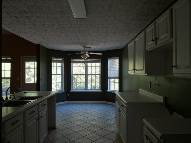 401 Ash Trace Ln, Grayson, GA 30017 photo 9