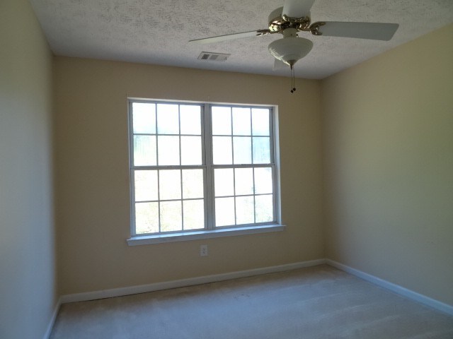 401 Ash Trace Ln, Grayson, GA 30017 photo 17