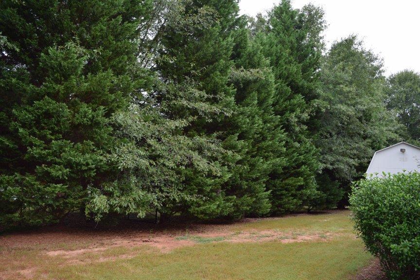 35 Lone Oak Ct, Covington, GA 30014 photo 15