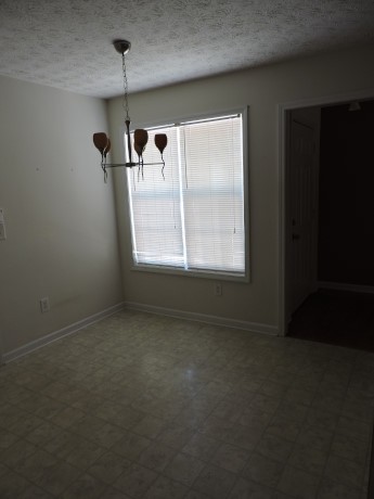 11379 Vinea Ln, Hampton, GA 30228 photo 4