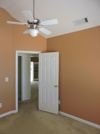 11379 Vinea Ln, Hampton, GA 30228 photo 8