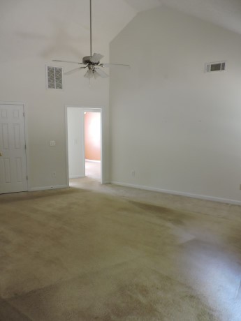 11379 Vinea Ln, Hampton, GA 30228 photo 11