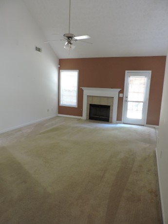 11379 Vinea Ln, Hampton, GA 30228 photo 5