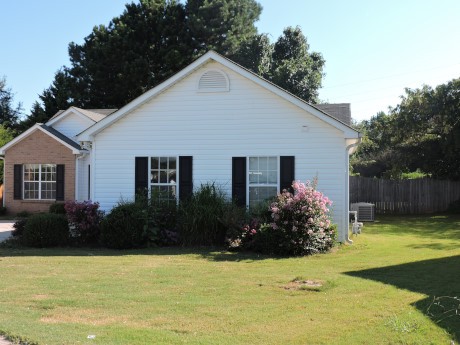 11379 Vinea Ln, Hampton, GA 30228 photo 2