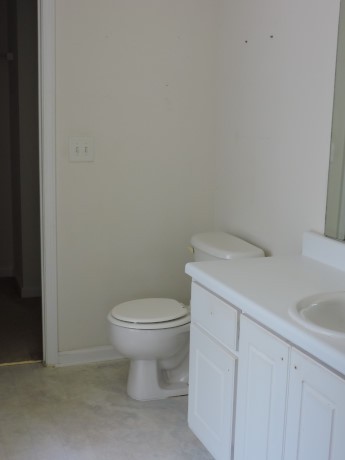 11379 Vinea Ln, Hampton, GA 30228 photo 16