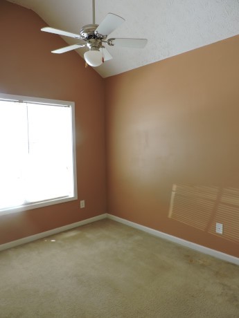 11379 Vinea Ln, Hampton, GA 30228 photo 7
