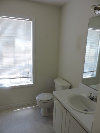 11379 Vinea Ln, Hampton, GA 30228 photo 15
