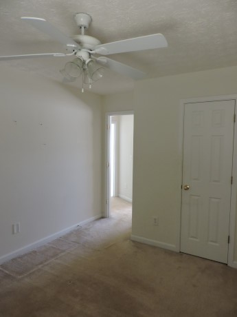 11379 Vinea Ln, Hampton, GA 30228 photo 10