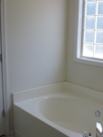 11379 Vinea Ln, Hampton, GA 30228 photo 17