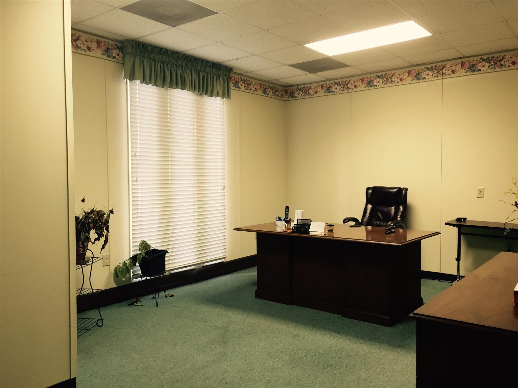 203 W White Rd, Byron, GA 31008 photo 8