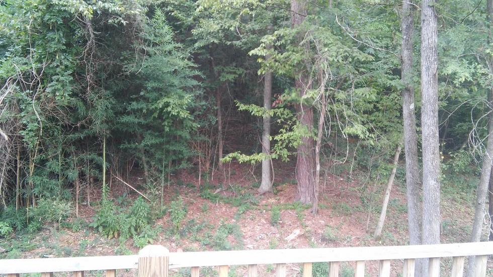 548 Moss Hill Dr, Macon, GA 31204 photo 15
