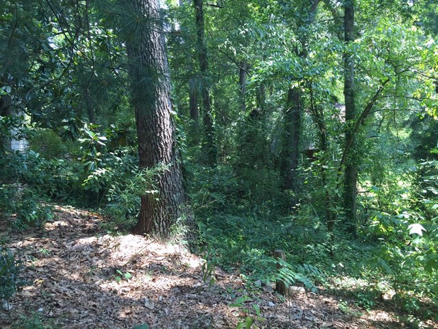595 Transit Ave, Canton, GA 30114 photo 9