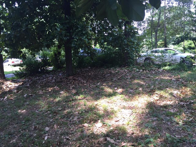 595 Transit Ave, Canton, GA 30114 photo 11