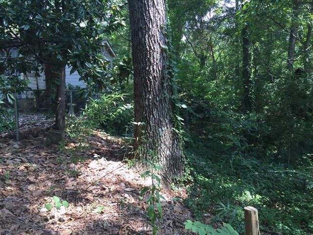 595 Transit Ave, Canton, GA 30114 photo 8