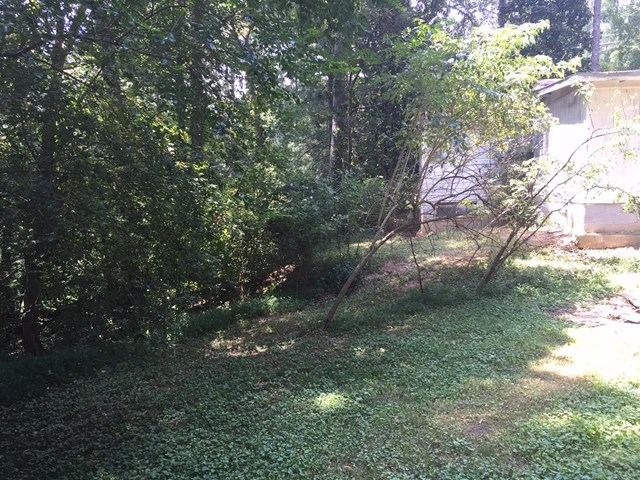 595 Transit Ave, Canton, GA 30114 photo 2