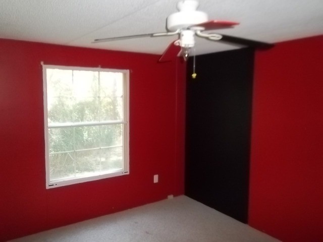 310 Courthouse Rd, Temple, GA 30179 photo 8