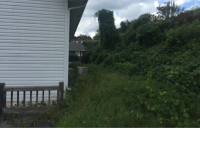 256 N Broad St, Toccoa, GA 30577 photo 4