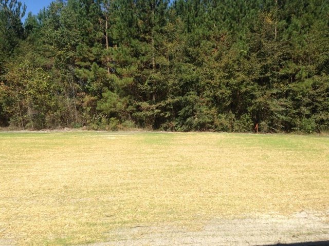 433 Serenity Ave, Brooklet, GA 30415 photo 2