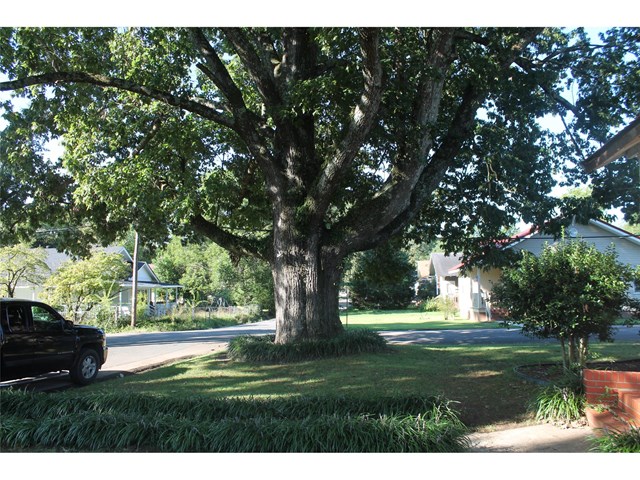260 2nd St, Rome, GA 30161 photo 24