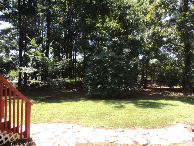 105 Pine Tree Dr, Mcdonough, GA 30252 photo 23