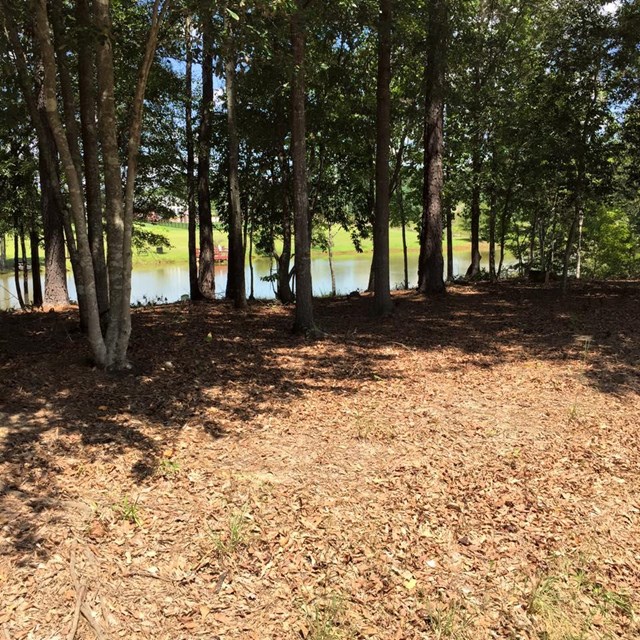 176 White Oak Dr, Jackson, GA 30233 photo 16