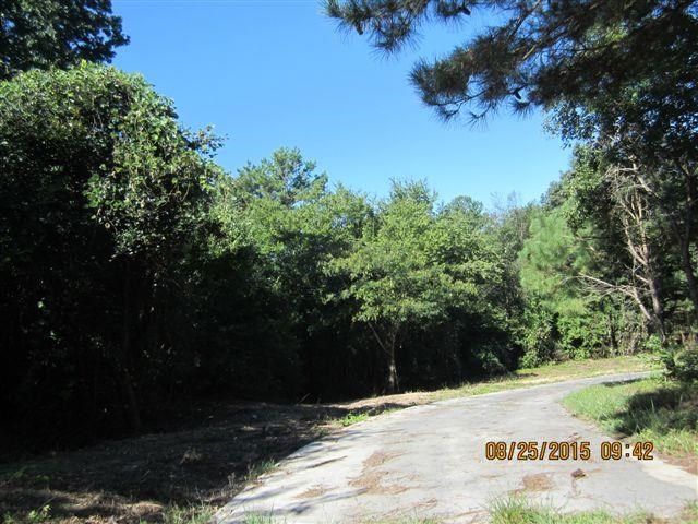 5554 County Rd 137, Cedar Bluff, AL 35959 photo 14