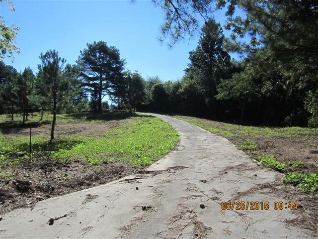 5554 County Rd 137, Cedar Bluff, AL 35959 photo 15