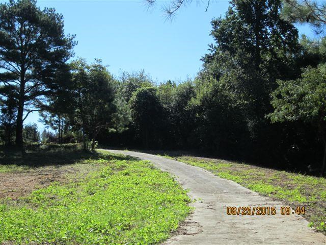 5554 County Rd 137, Cedar Bluff, AL 35959 photo 2